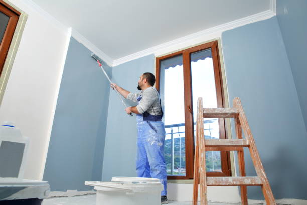 Best Drywall Removal and Disposal  in Sauk Rapids, MN